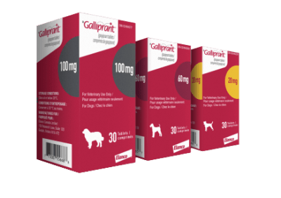 elco galliprant 30 comp