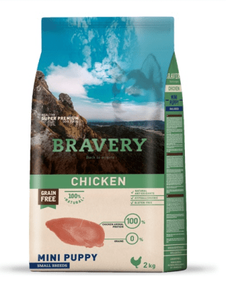 bravery pollo puppy mini breed