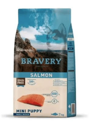 bravery salmon puppy mini breed