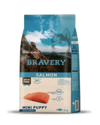 bravery salmon puppy mini breed