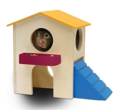 lw madera hamster