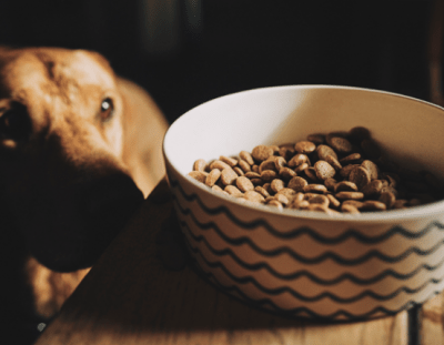 beco bowl salvemos patron el oceano