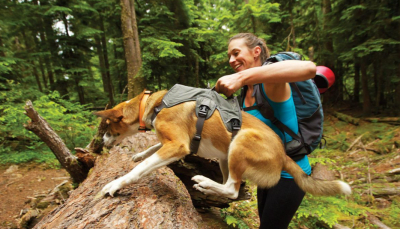 ruffwear web master m