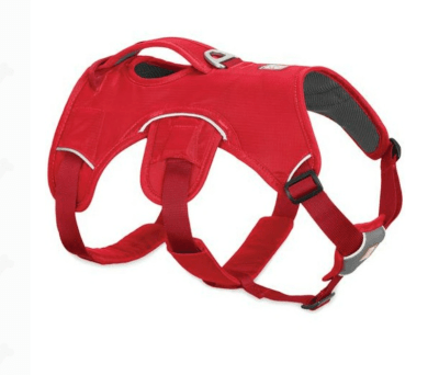 ruffwear web master xs