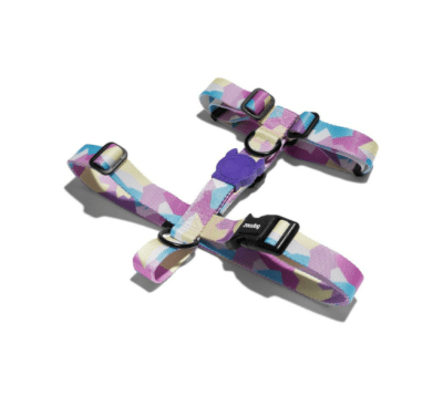 zeedog candy arnes H