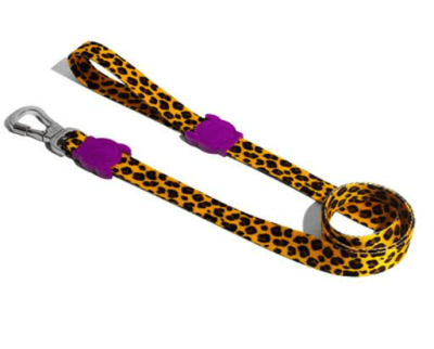 zeedog honey trailla