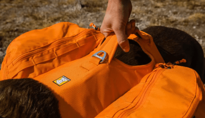 ruffwear dog pack orange