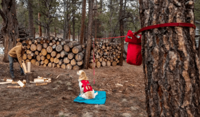 ruffwear knot a hitch