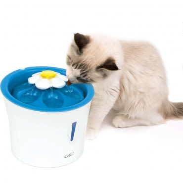 cat it fuente de agua flor led