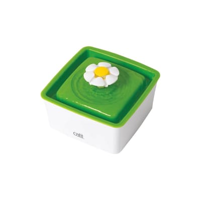 cat it fuente de agua flor s