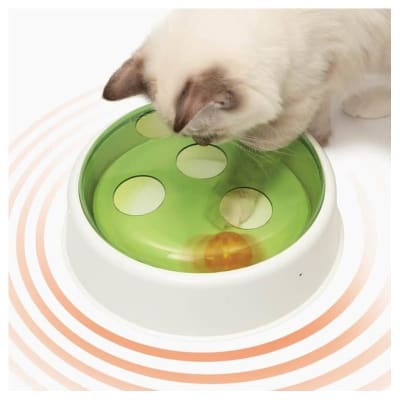 cat it sense ball dome