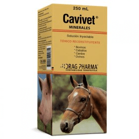 cavivet