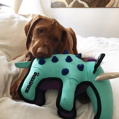 gigwi duraspikes mamut