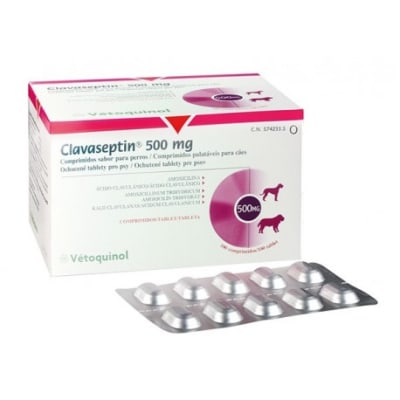 clavaseptin 500mg