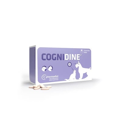 cognidine