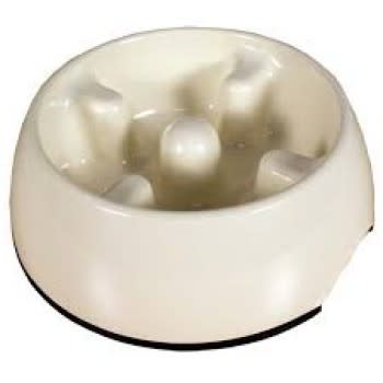 dog it plato come lento