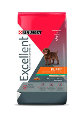excellent puppy raza med/gr