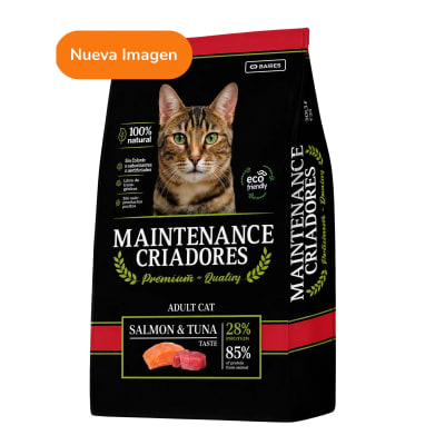 criadores gato adulto