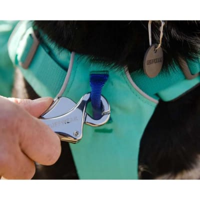 ruffwear dog pack aurora teal