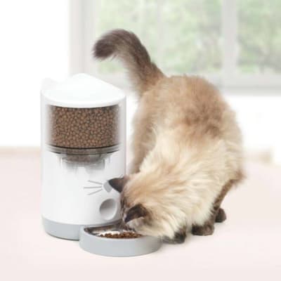 cat it pixi comedero smart