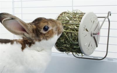 lw rueda dispensadora heno