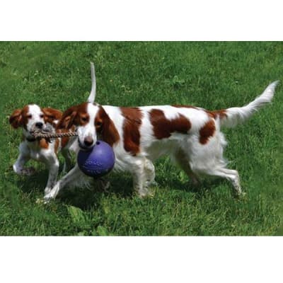 JP pelota con cuerda azul