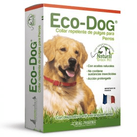 eco-dog