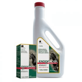 endofaciol