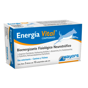 energia vital
