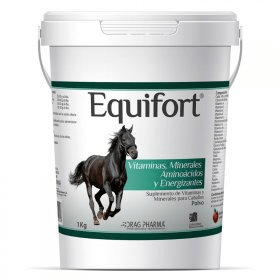 equifort