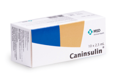 caninsulin
