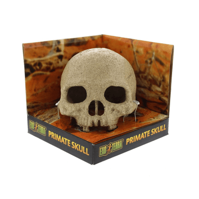 exoterra refugio calavera