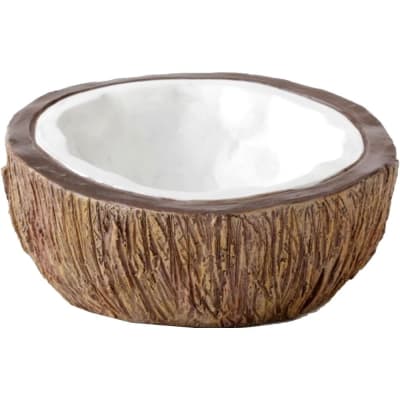 exoterra plato de agua coco