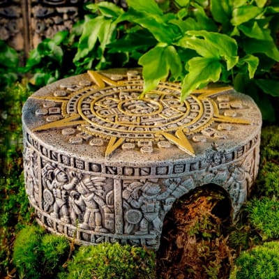 exoterra guarida maya