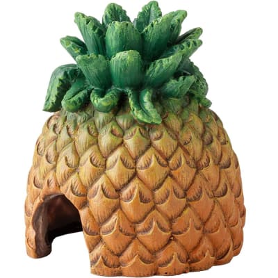 exoterra guarida piña