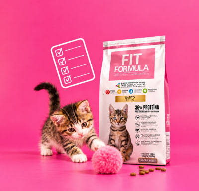 fit formula kitten