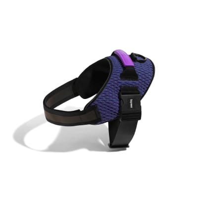 zeedog wicked fly arnes