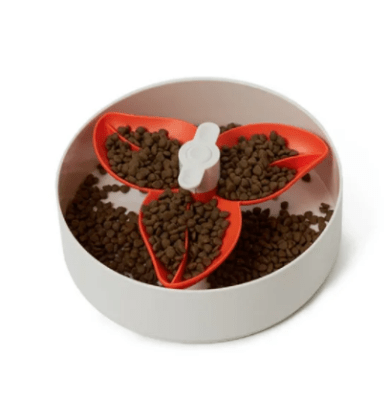 spin interactive naranjo