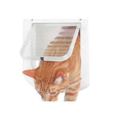 pawise puerta gato