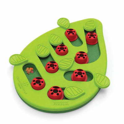 NINAO puzzle buggin out n2