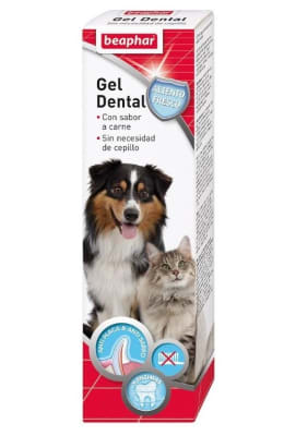 beaphar gel dental enzimatico