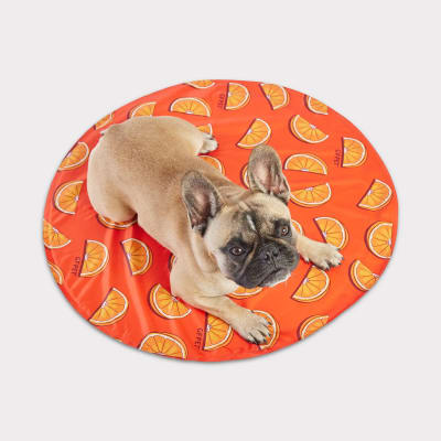 gf pet ice mat naranja