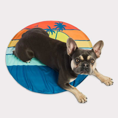 gf pet ice mat atardecer