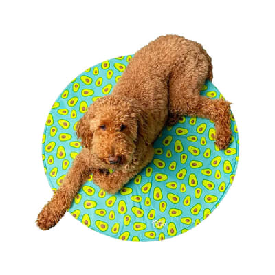 gfpet mat ice aqua