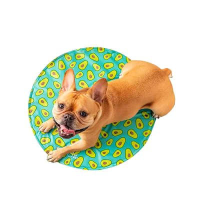 gfpet mat ice aqua