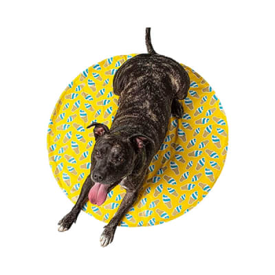 gfpet mat ice yellow