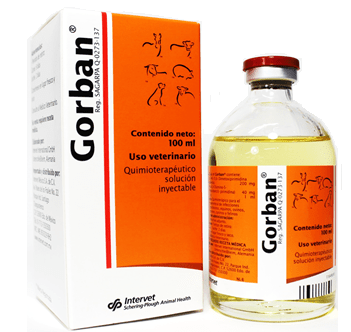 gorban