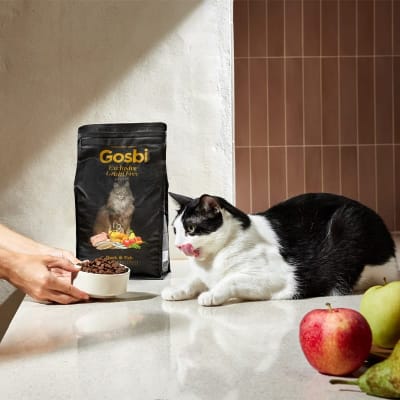 gosbi exclusive GF gato est pato/pescado