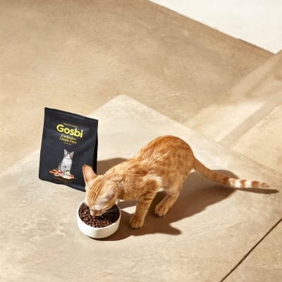gosbi exclusive gato GF pollo/pescado kitten