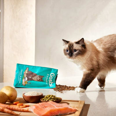 gosbi exclusive gato esterilizado pollo salmon